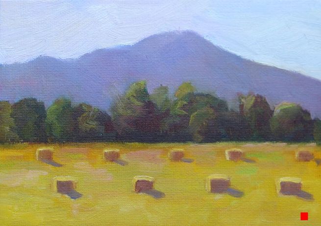Sonoma Hay by Linda Rosso