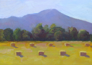 Sonoma Hay by Linda Rosso