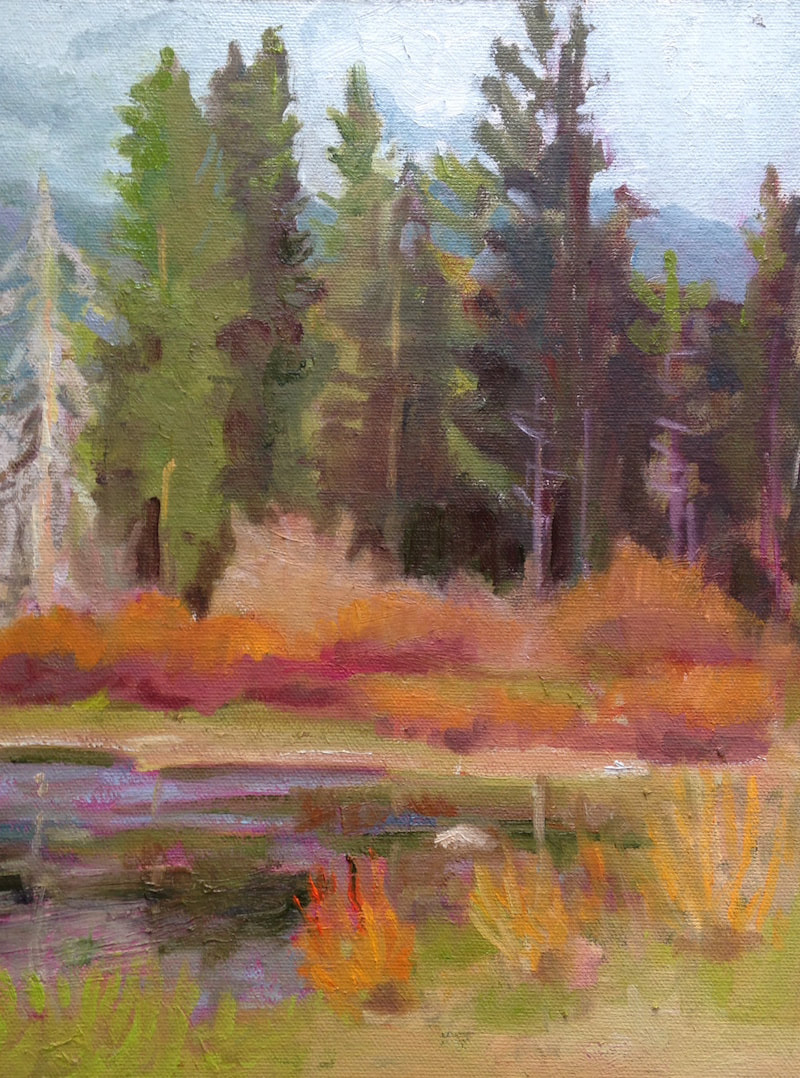 Tahoe Marsh by Linda Rosso